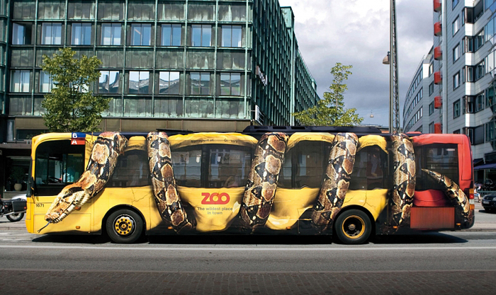 zoo