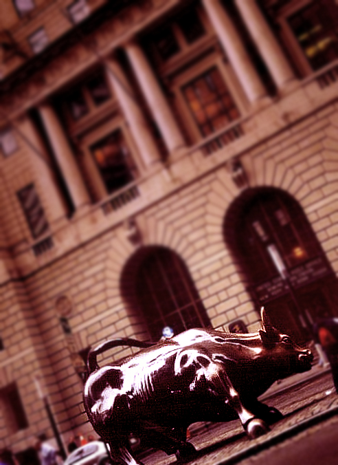 Charging bull Charging bull